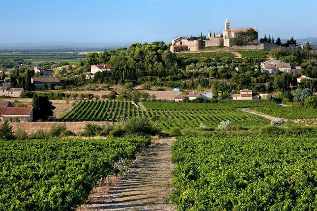 Rhône Valley - GSM Unravelled with sommelier Maurice Hovens